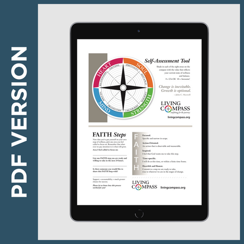 Flash Self-Assessment & Compass Tool (PDF FILE)